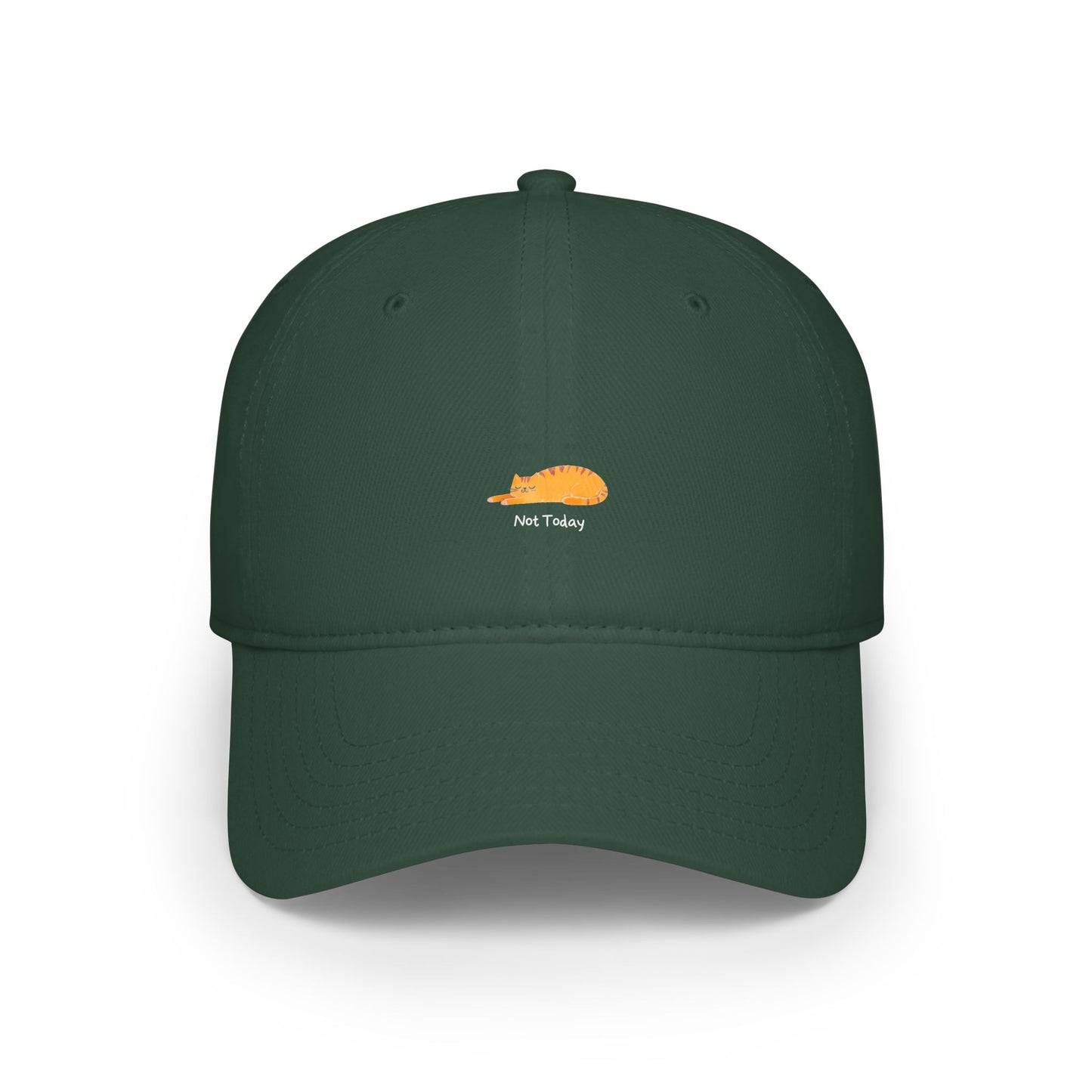 Not Today Baseball Hat