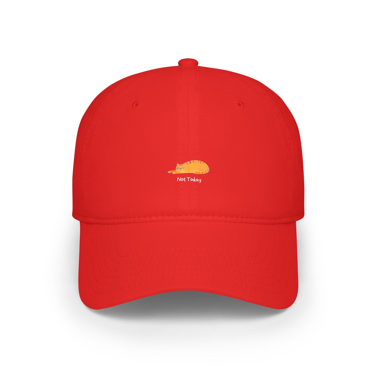 Not Today Baseball Hat