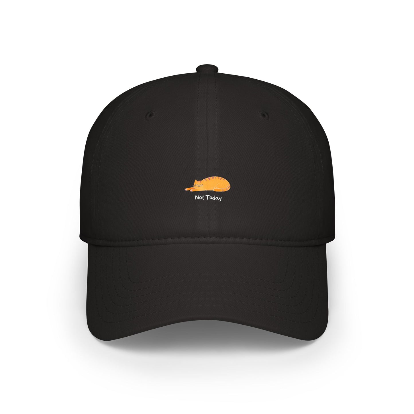 Not Today Baseball Hat