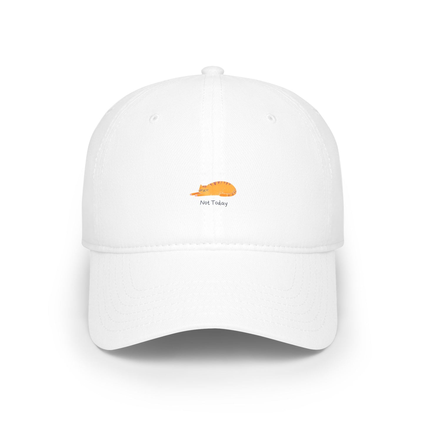 Not Today Baseball Hat