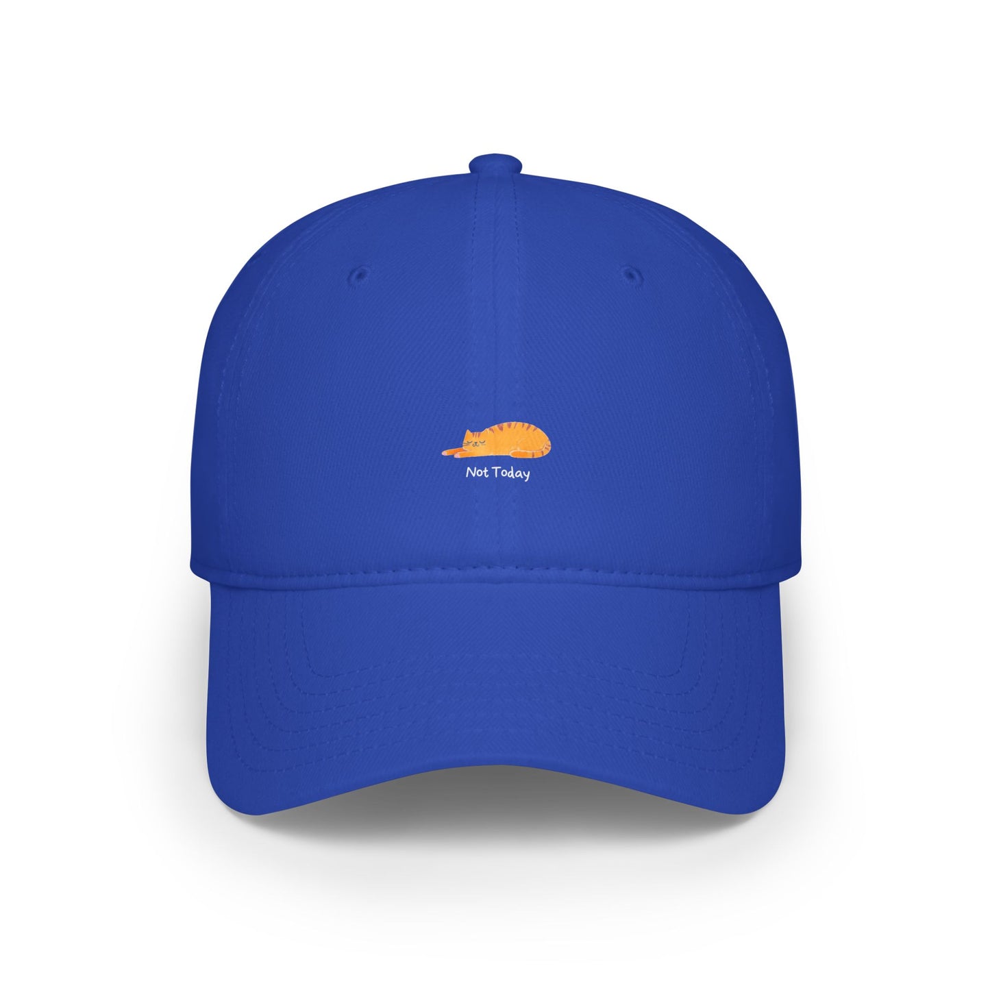 Not Today Baseball Hat