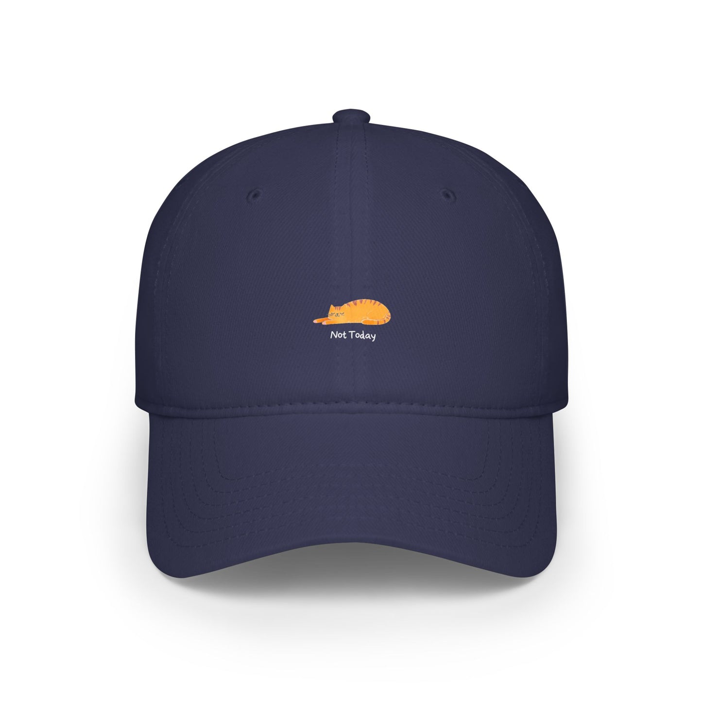 Not Today Baseball Hat