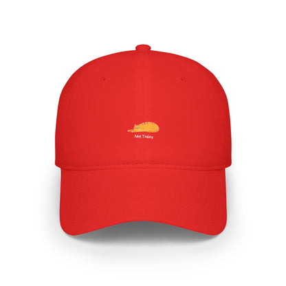 Not Today Baseball Hat