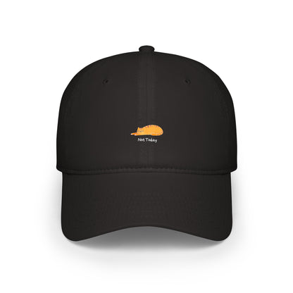 Not Today Baseball Hat