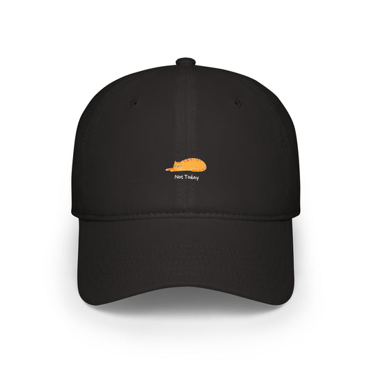 Not Today Baseball Hat