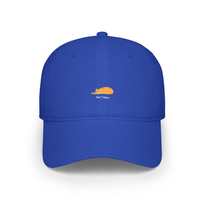 Not Today Baseball Hat