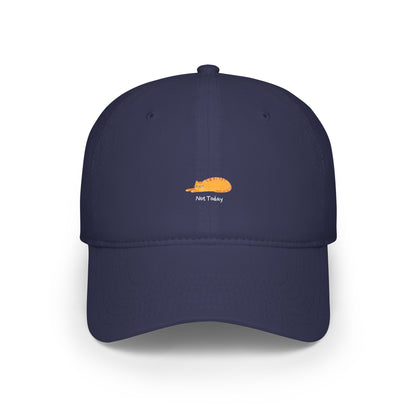 Not Today Baseball Hat