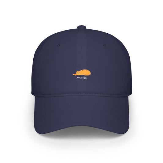 Not Today Baseball Hat